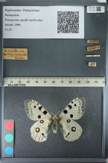 Media type: image;   Entomology 175356